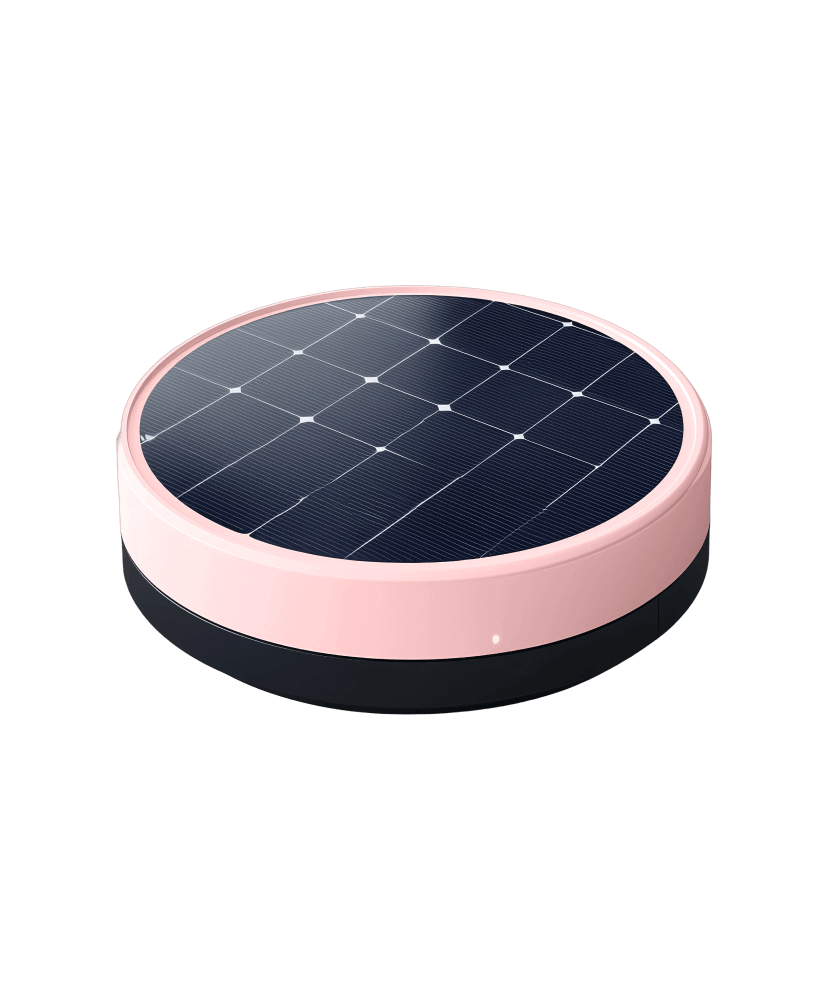 Shop Primary Image Shop Primary Image